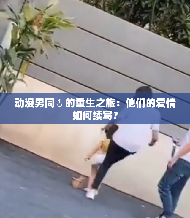 动漫男同♂的重生之旅：他们的爱情如何续写？