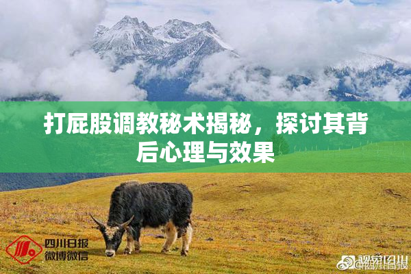 打屁股调教秘术揭秘，探讨其背后心理与效果