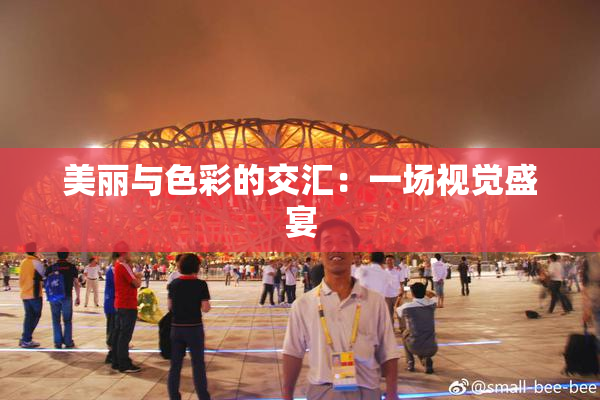 美丽与色彩的交汇：一场视觉盛宴