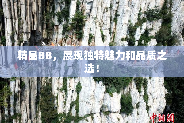 精品BB，展现独特魅力和品质之选！