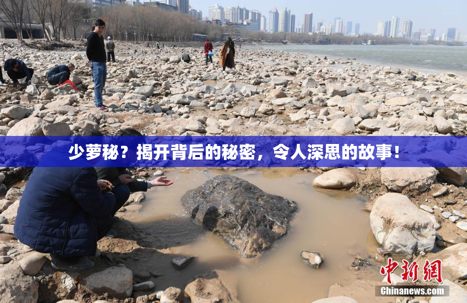 少萝秘？揭开背后的秘密，令人深思的故事！