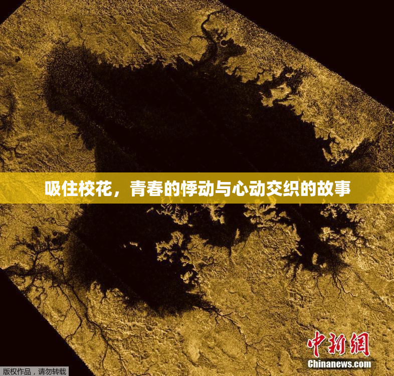 吸住校花，青春的悸动与心动交织的故事