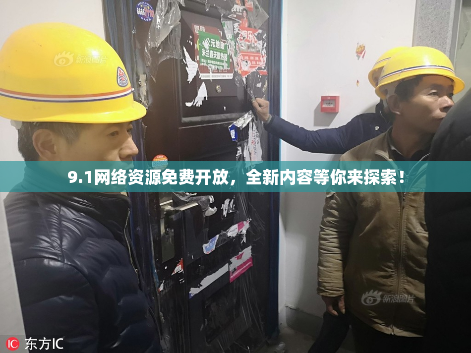 9.1网络资源免费开放，全新内容等你来探索！