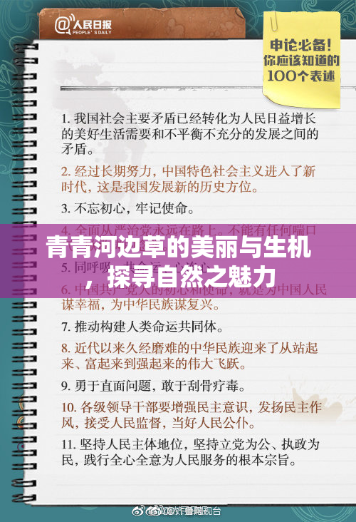 青青河边草的美丽与生机，探寻自然之魅力
