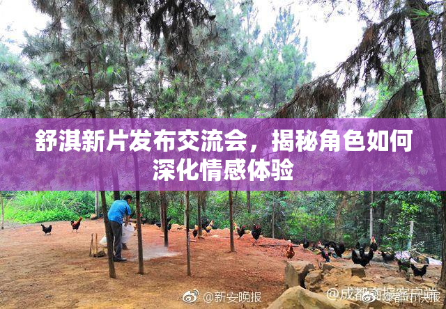 舒淇新片发布交流会，揭秘角色如何深化情感体验
