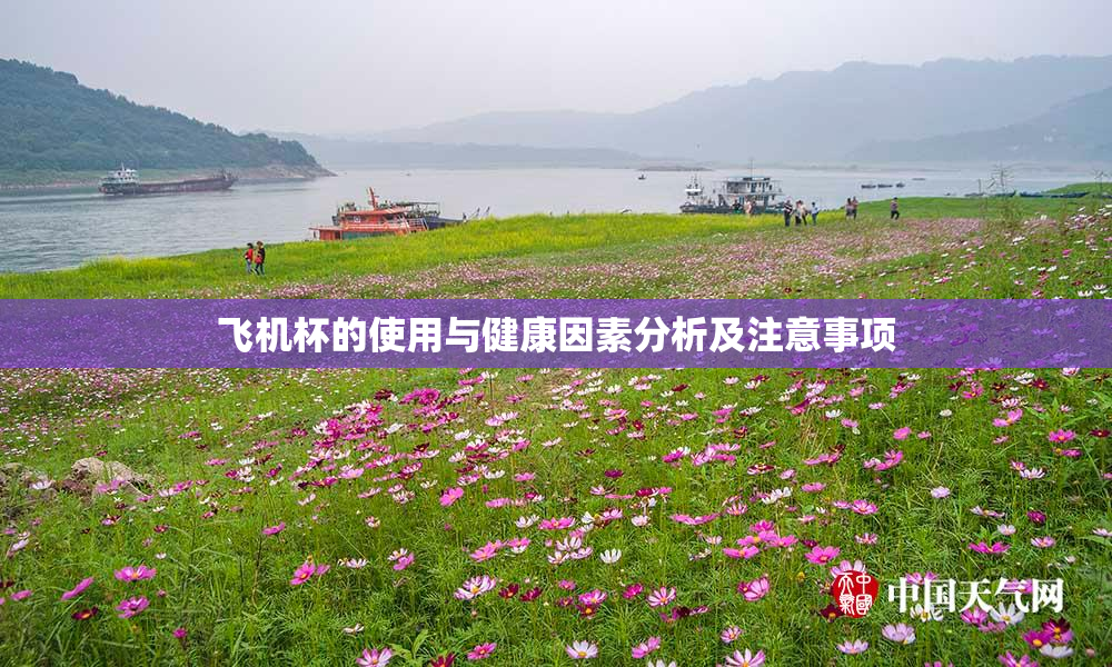 飞机杯的使用与健康因素分析及注意事项