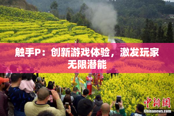 触手P：创新游戏体验，激发玩家无限潜能