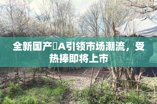 全新国产婬A引领市场潮流，受热捧即将上市
