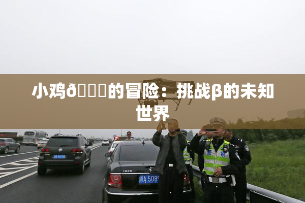 小鸡🐔的冒险：挑战β的未知世界