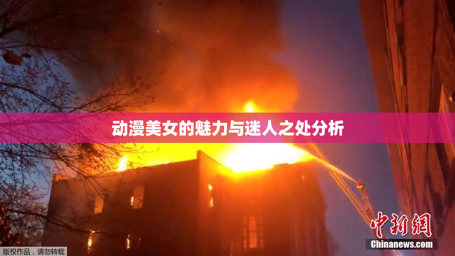 动漫美女的魅力与迷人之处分析