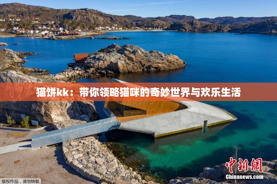 猫饼kk：带你领略猫咪的奇妙世界与欢乐生活