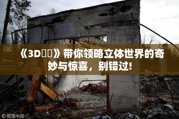 《3D姉弚》带你领略立体世界的奇妙与惊喜，别错过!