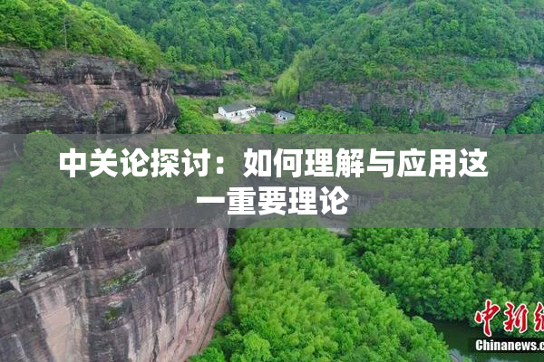 中关论探讨：如何理解与应用这一重要理论