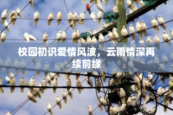 校园初识爱情风波，云雨情深再续前缘