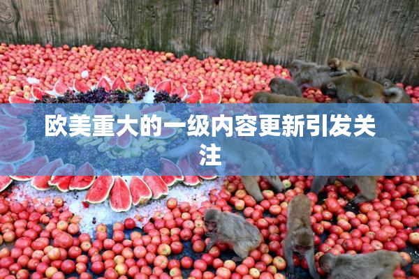 欧美重大的一级内容更新引发关注