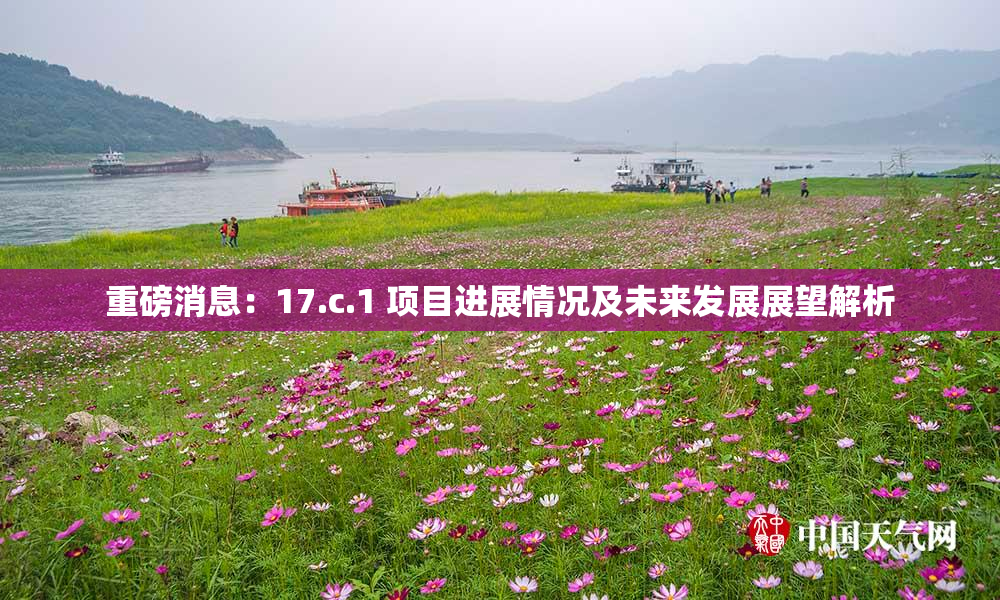 重磅消息：17.c.1 项目进展情况及未来发展展望解析