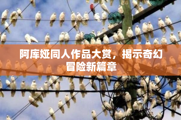 阿库娅同人作品大赏，揭示奇幻冒险新篇章