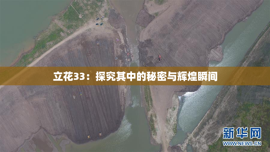 立花33：探究其中的秘密与辉煌瞬间