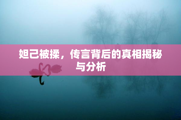 妲己被揉，传言背后的真相揭秘与分析
