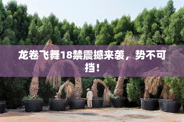 龙卷飞舞18禁震撼来袭，势不可挡！