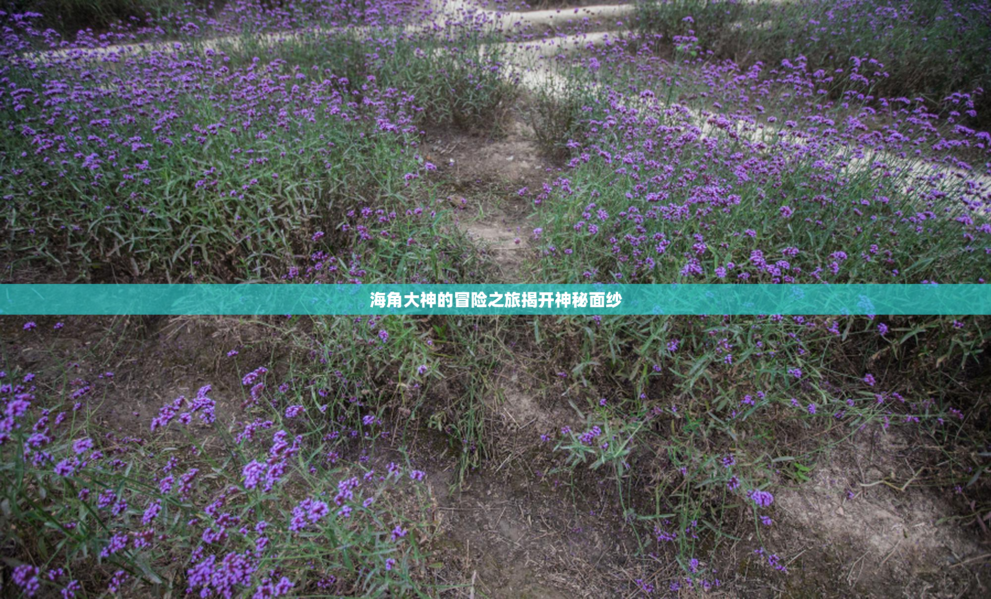 海角大神的冒险之旅揭开神秘面纱