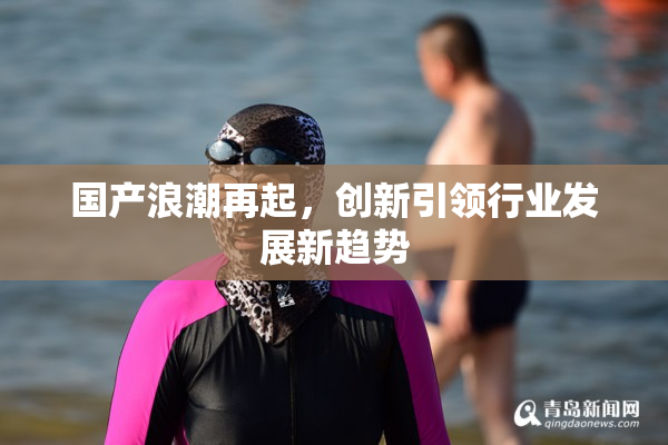 国产浪潮再起，创新引领行业发展新趋势