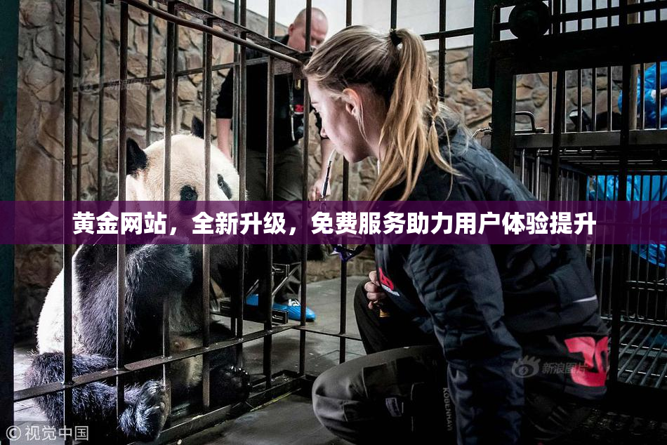 黄金网站，全新升级，免费服务助力用户体验提升
