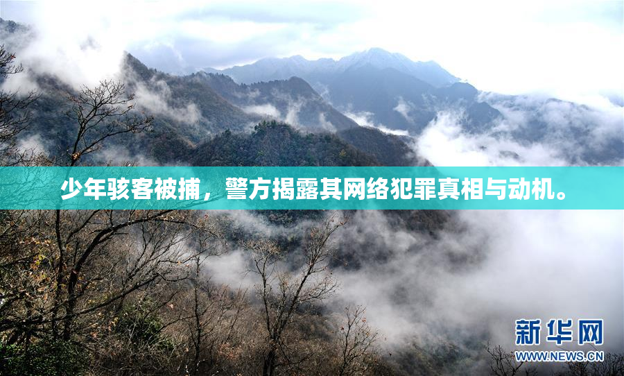 少年骇客被捕，警方揭露其网络犯罪真相与动机。