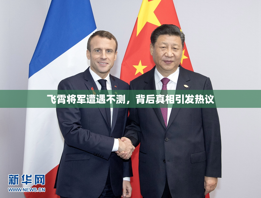 飞霄将军遭遇不测，背后真相引发热议