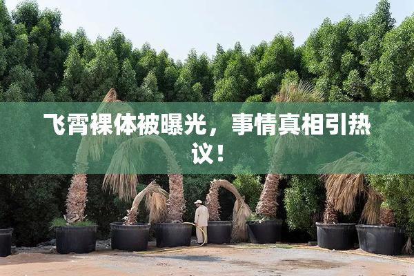 飞霄裸体被曝光，事情真相引热议！