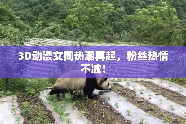 3D动漫女同热潮再起，粉丝热情不减！
