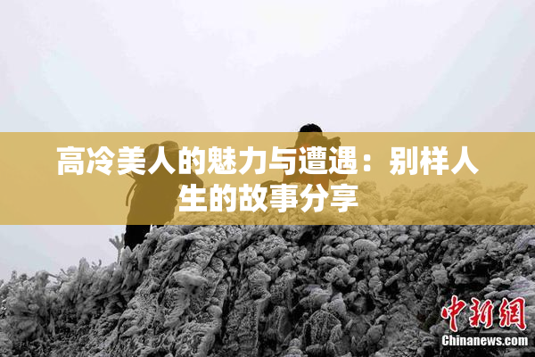 高冷美人的魅力与遭遇：别样人生的故事分享