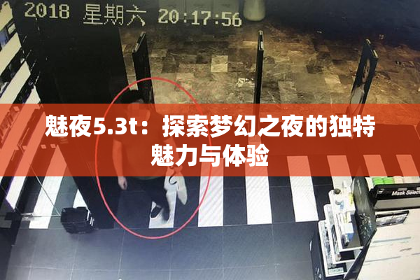 魅夜5.3t：探索梦幻之夜的独特魅力与体验
