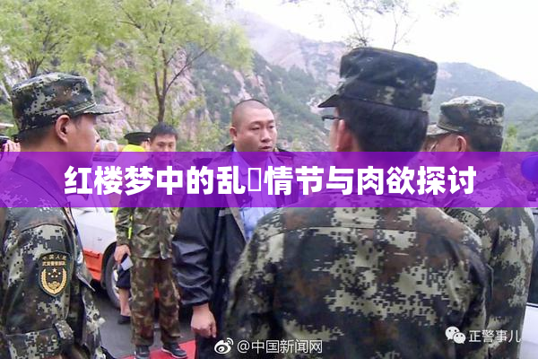 红楼梦中的乱婬情节与肉欲探讨