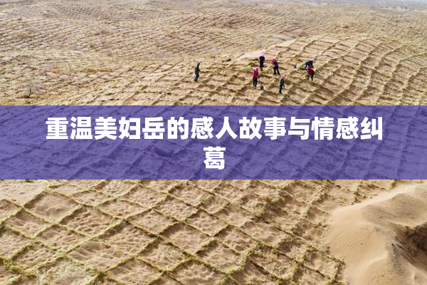 重温美妇岳的感人故事与情感纠葛