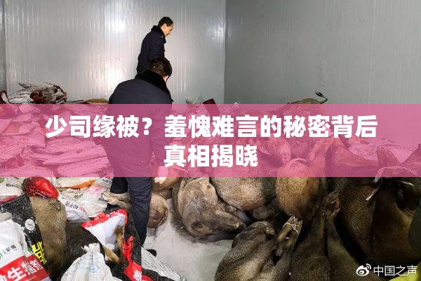 少司缘被？羞愧难言的秘密背后真相揭晓