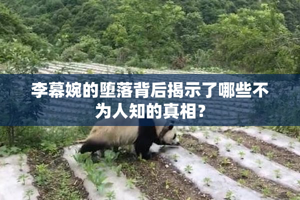李幕婉的堕落背后揭示了哪些不为人知的真相？