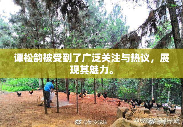 谭松韵被受到了广泛关注与热议，展现其魅力。