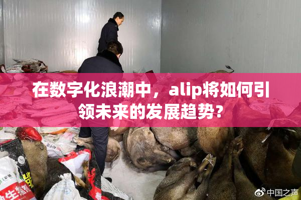 在数字化浪潮中，alip将如何引领未来的发展趋势？