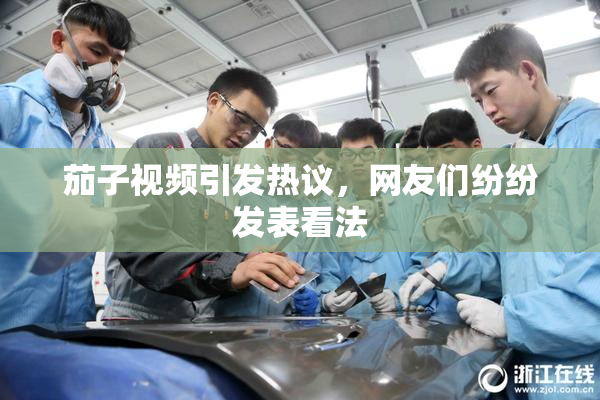 茄子视频引发热议，网友们纷纷发表看法