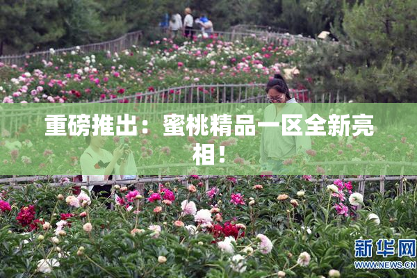 重磅推出：蜜桃精品一区全新亮相！