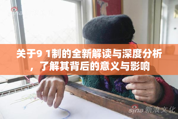 关于9 1制的全新解读与深度分析，了解其背后的意义与影响