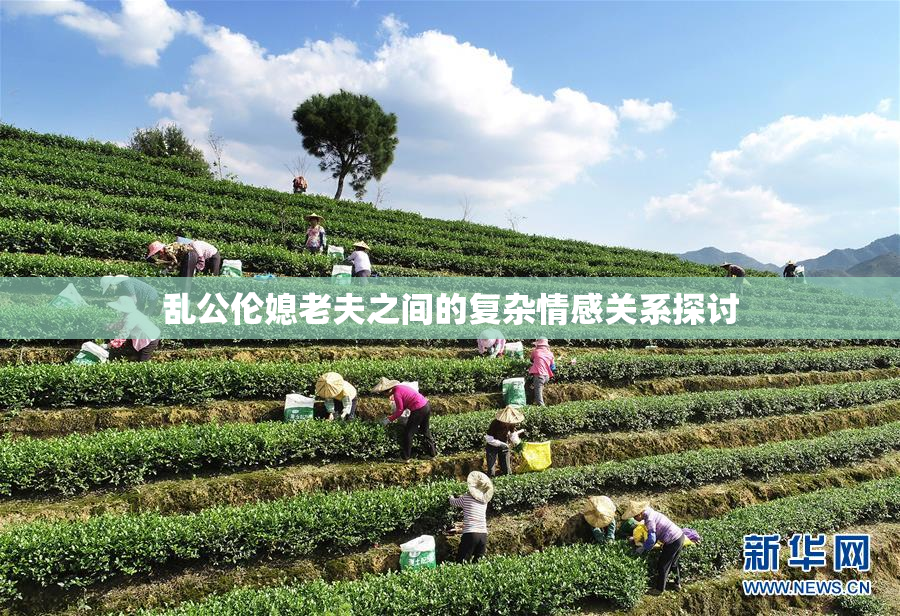 乱公伦媳老夫之间的复杂情感关系探讨
