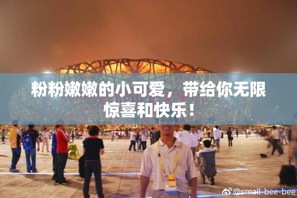 粉粉嫩嫩的小可爱，带给你无限惊喜和快乐！