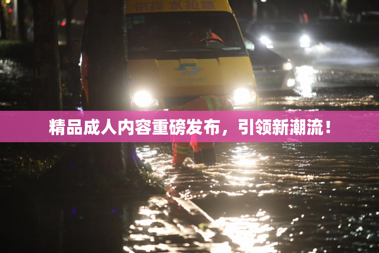 精品成人内容重磅发布，引领新潮流！