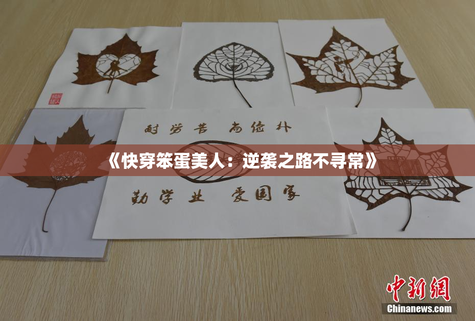 《快穿笨蛋美人：逆袭之路不寻常》