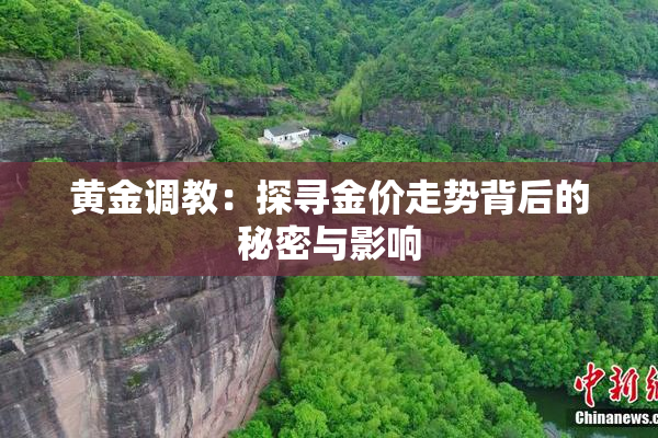 黄金调教：探寻金价走势背后的秘密与影响
