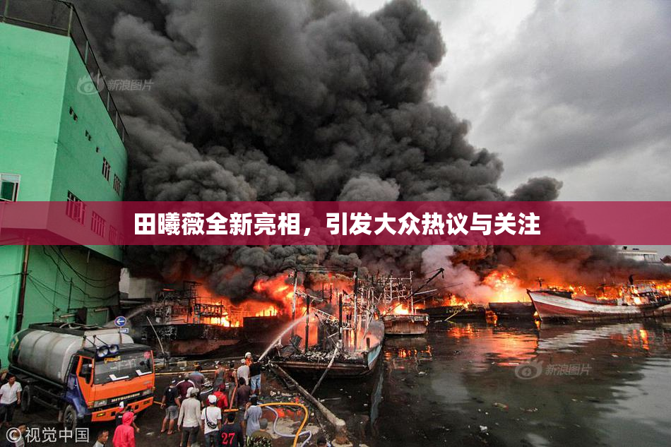 田曦薇全新亮相，引发大众热议与关注