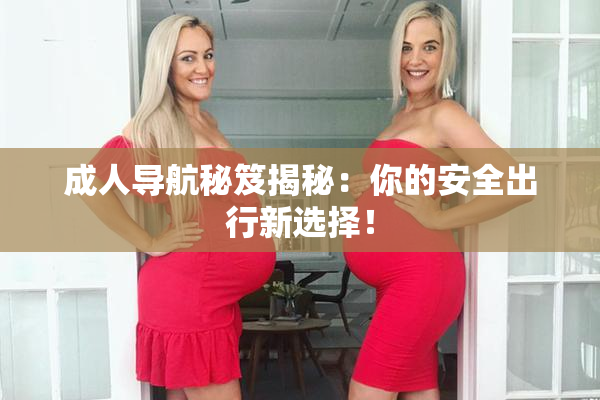 成人导航秘笈揭秘：你的安全出行新选择！