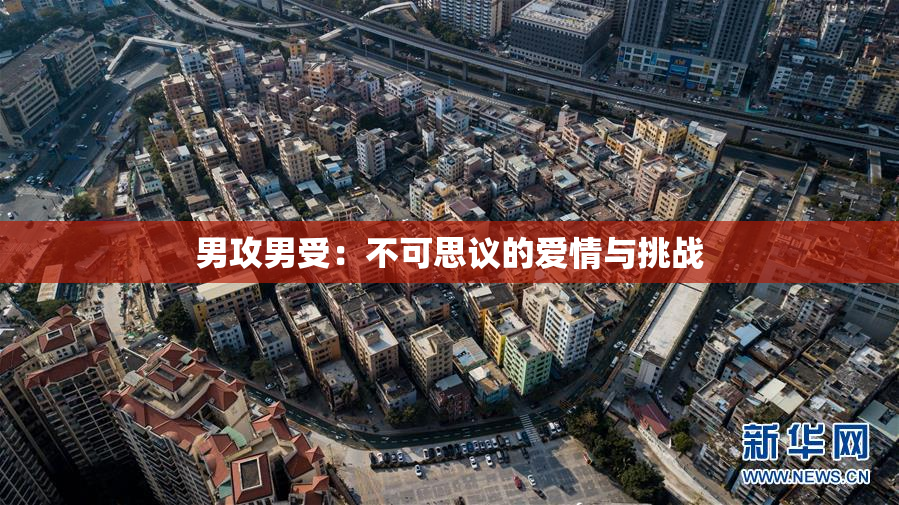 男攻男受：不可思议的爱情与挑战